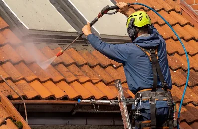 Démoussage et hydrofuge de toiture à Gumiane
